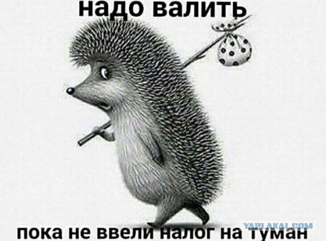 Силуанов предложил повысить НДС до 22%