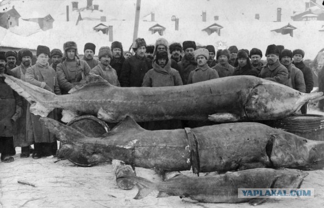 Это Астрахань!