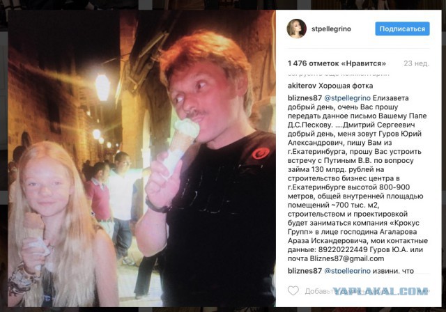 Дочь главных усов