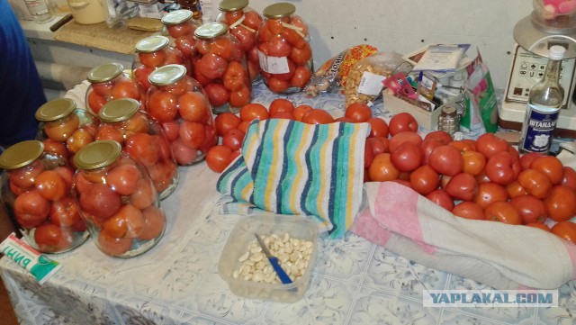 Астрология, карты таро, нумерология, прогнозы