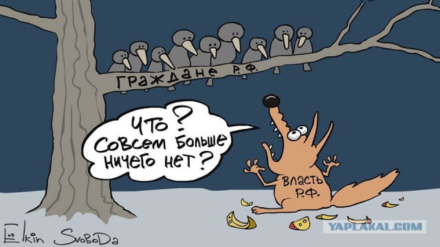 12 млн работающих граждан не могут обеспечить себя и свои семьи. МРОТ повысится примерно до 85% прожиточного минимума!