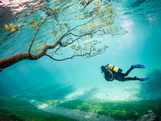 Австрийский парк, который каждое лето превращается в озеро