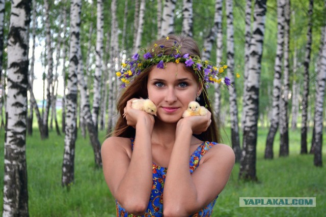 Девчонки! Мужик не пес чтобы на кости бросаться