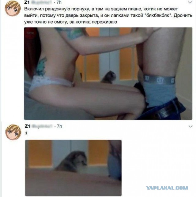 Пятница. Coub. Вы знаете что делать!