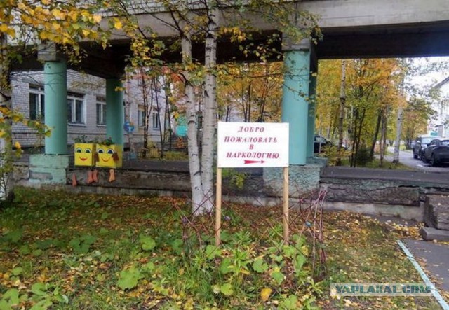Не пью...