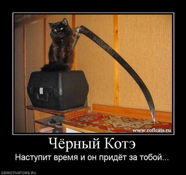 Соседские коты метят окна и дверь, что делать?