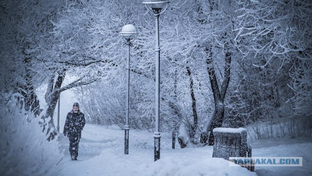 День жестянщика 13.02.19