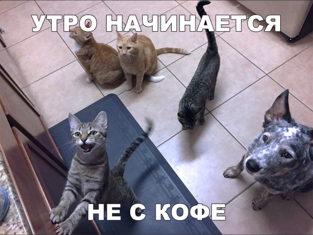 Нестандартный юмор