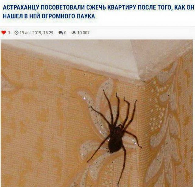 Как соблазнить девушку покачивая перьями на шляпах или рак мозгом заболееет