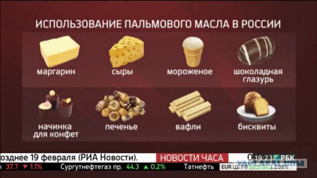 Как России слезть с «пальмы»: Почему вместо нормальных молочных продуктов нам предлагают суррогаты на основе пальмового масла