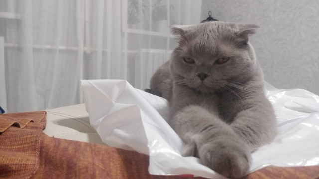 Живность 15.03.20