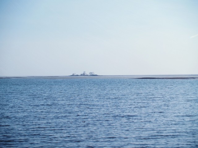 Прогулка по дну Обского водохранилища