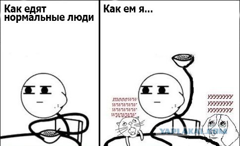 Владельцы домашних любимцев поймут