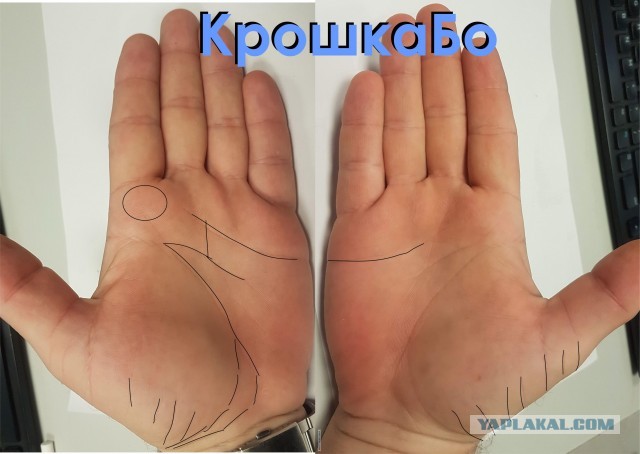 Исследую Хиромантию  (Часть 3)