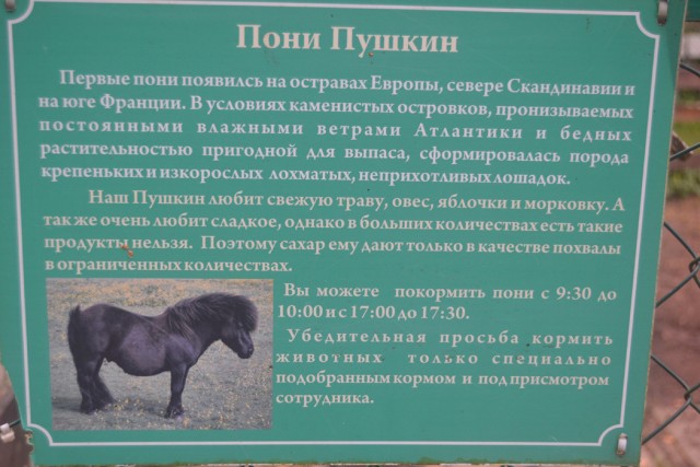 Старая Русса. Путешествие по провинции