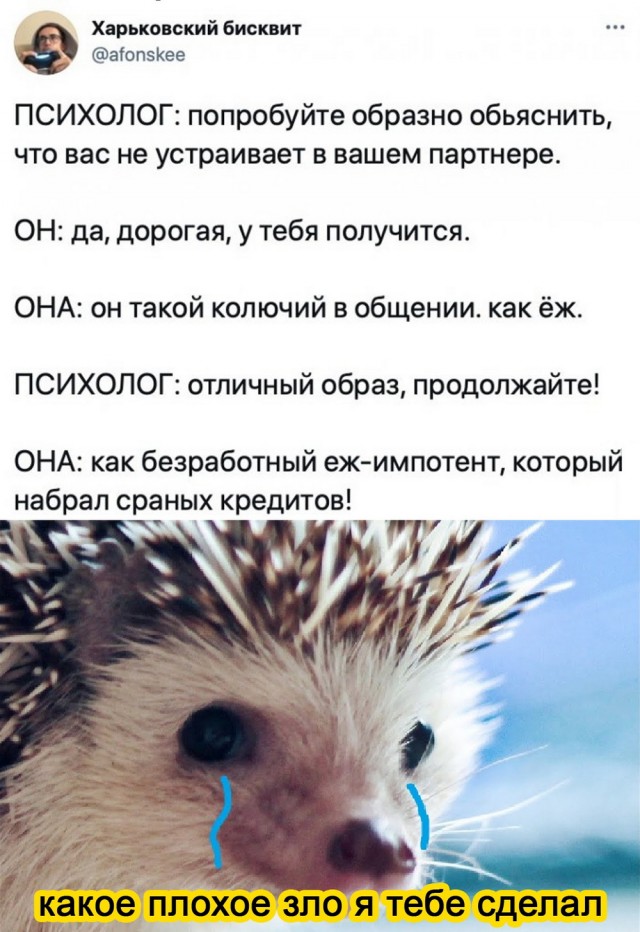 Дебилизмы из сети 04.02.21