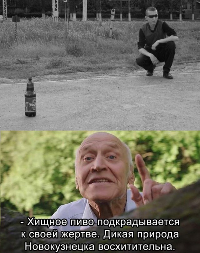 Пазл