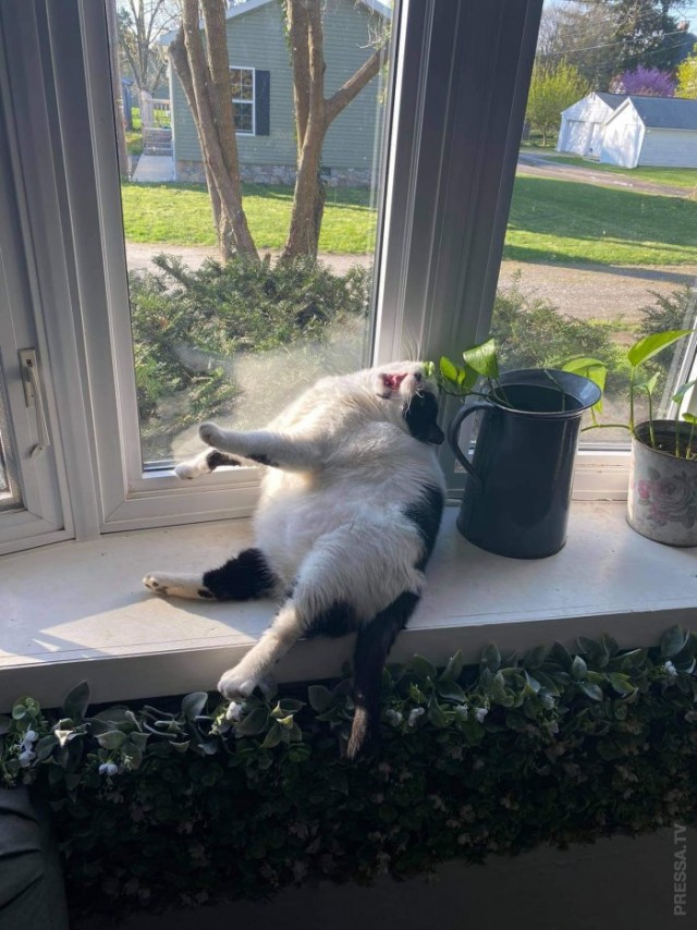 Картинки и мемы для настроения 19.05.2021