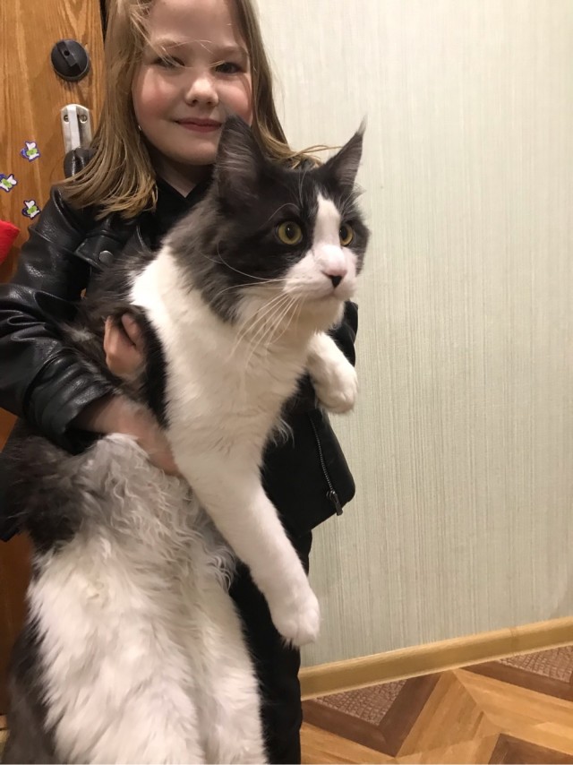 К Котовторнику