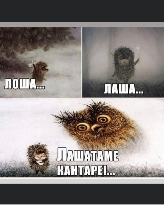 Бредзона 10.10.2021