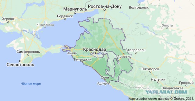 Кто такие кубаноиды? Где они живут, чем занимаются и как выглядят