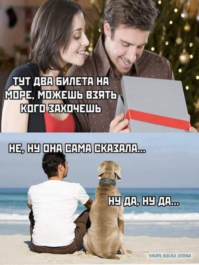 Весёлый полтишок 01.02