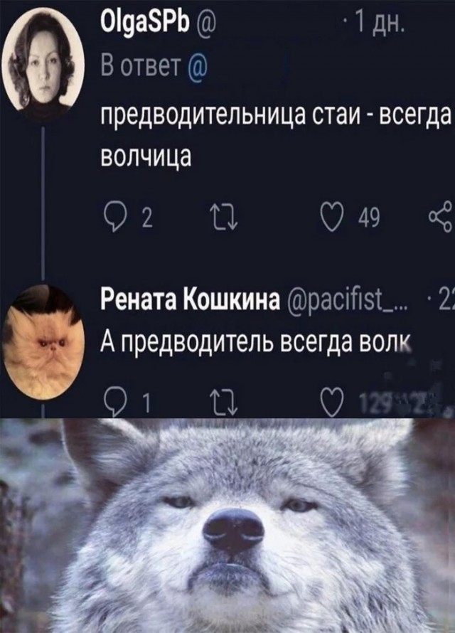 Весёлый полтишок 03.02