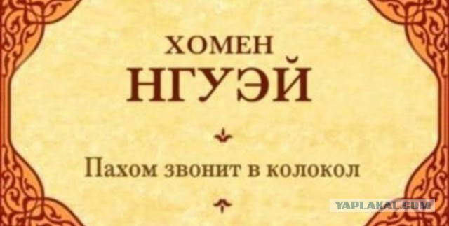 Забавные шутки, фразы, картинки из этих ваших интернетов