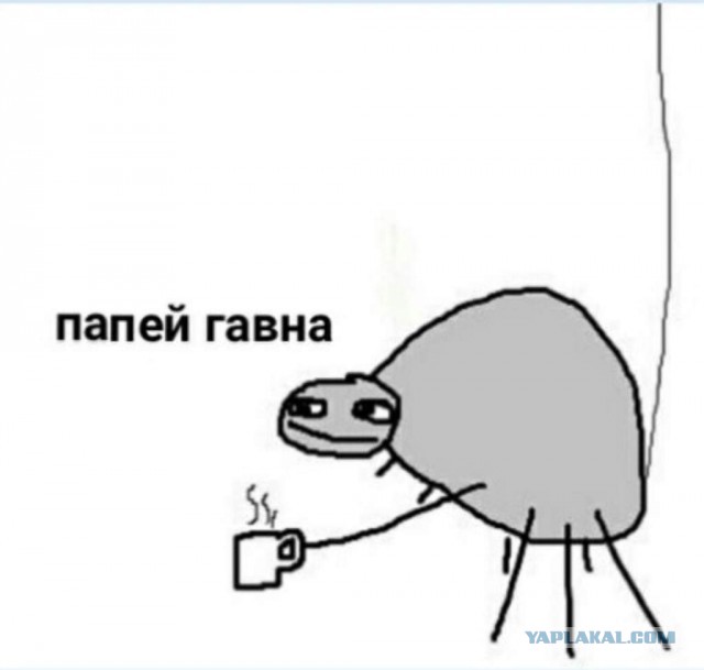 Владимир Владимирович, сделайте народу дешёвый бензин!