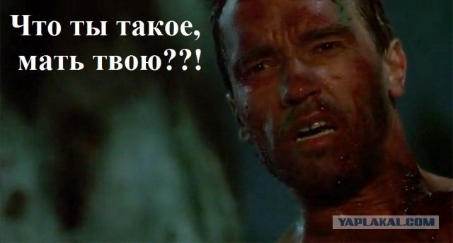 Нинзя баланс