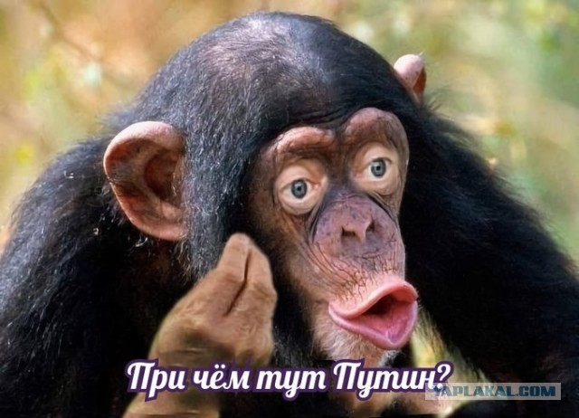 Российские военные вошли в Донбасс со стороны Харьковской области