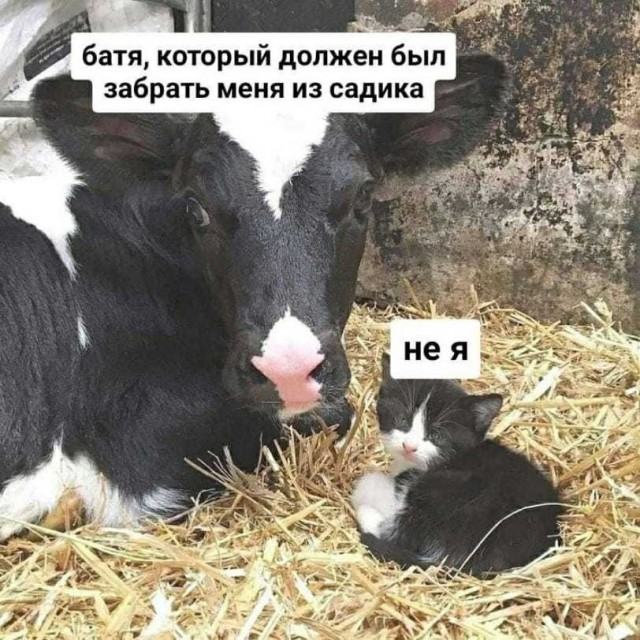 Так себе картинки 26.05.22
