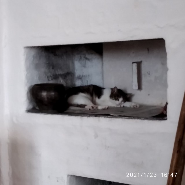 Деревенские, милые, шерстяные