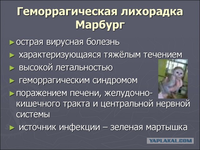 Пандемия съехавших крыш - разновидности болезни. Россия и мир. Часть 37