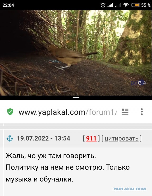 Уже осенью YouTube могут заблокировать в России.