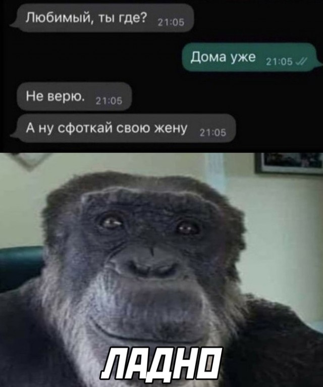 Немного картинок для настроения - 119
