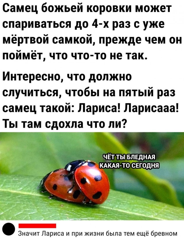 Немного мемчиков. Для взрослых 18+. Часть 11