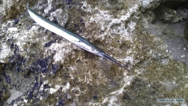 Мыс Тарханкут - самая западная точка Крыма.