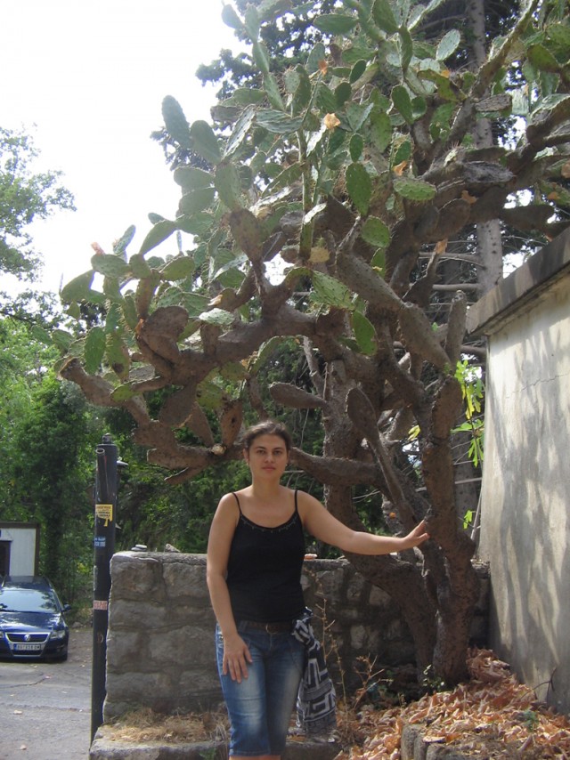 Отдых в Черногории (сентябрь 2012)