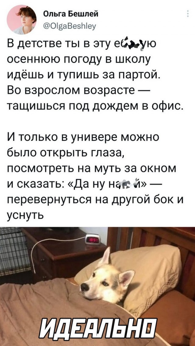 Картинки и мемы. Выходные близко...