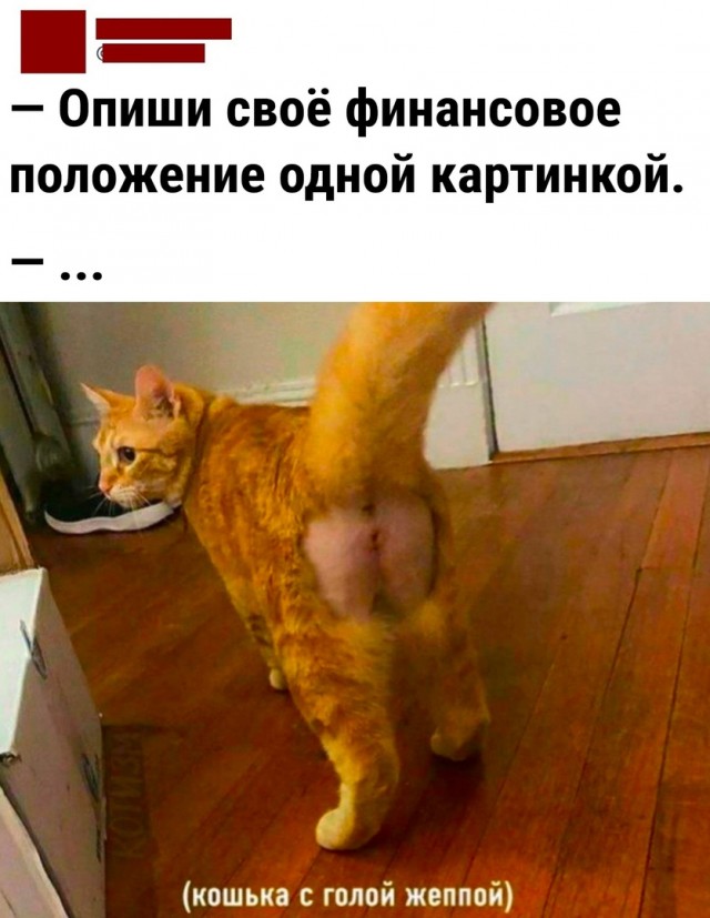 Так себе картинки 17.10.22
