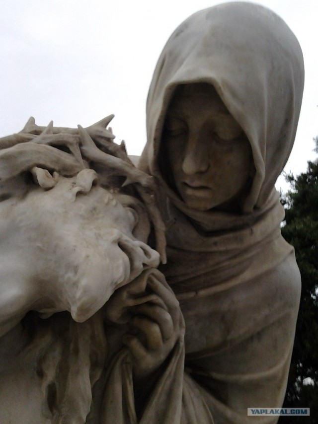 В поисках такси