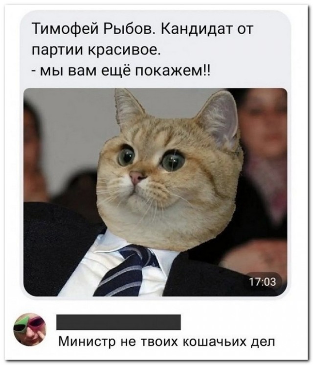 Забавные комментарии из социальных сетей (21.11.22)