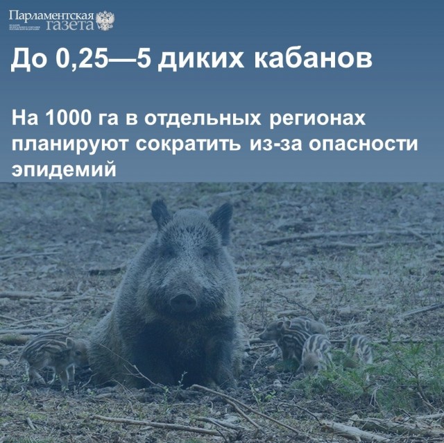 Победная поступь идиотизма по планете – том 4