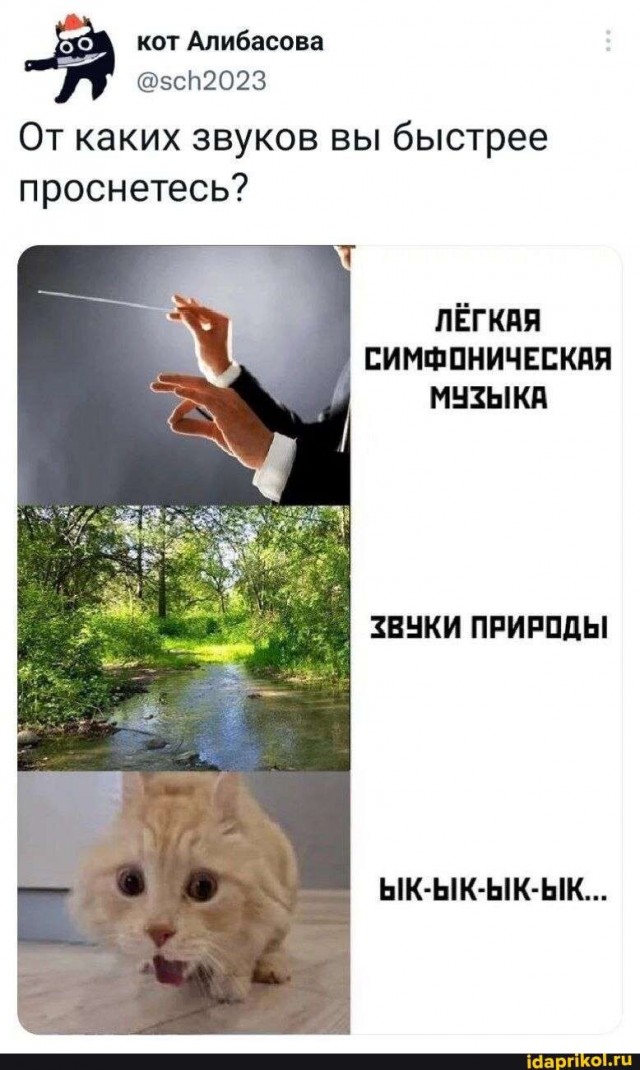 Картинки на пятницу