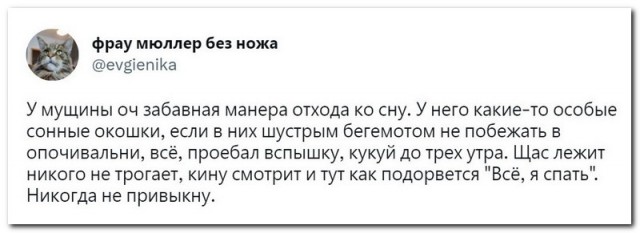 Забавные комментарии из социальных сетей (20.02.23)