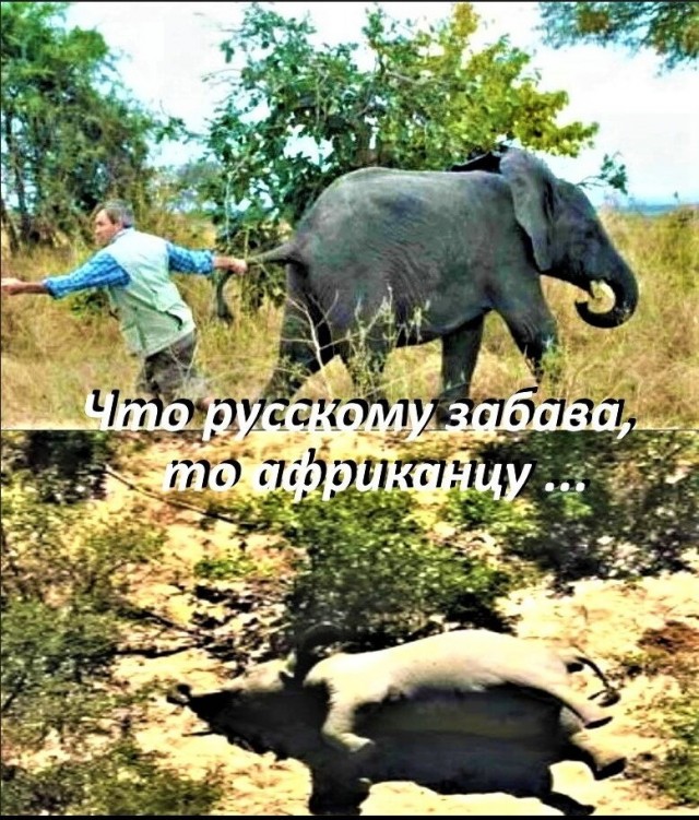 Пошлость, шутки, два ствола