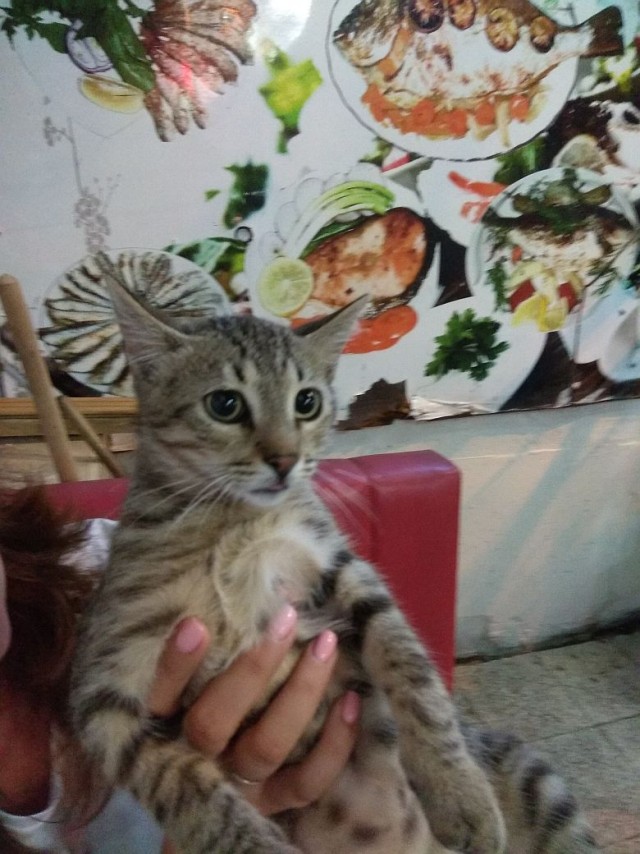 Обычный день в Стамбуле