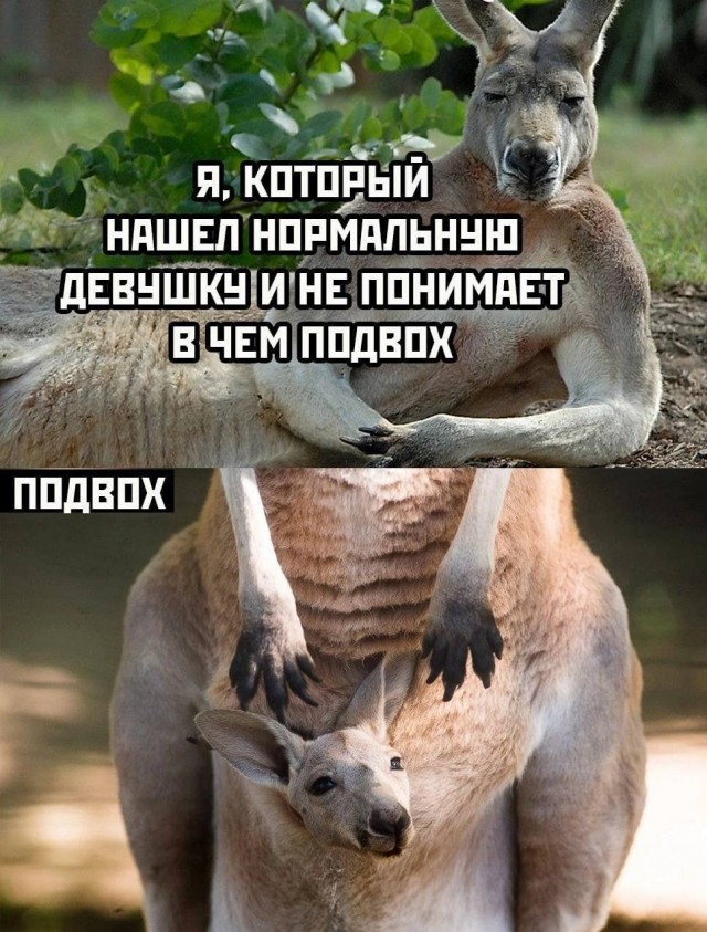 Нуштош 14.03.23