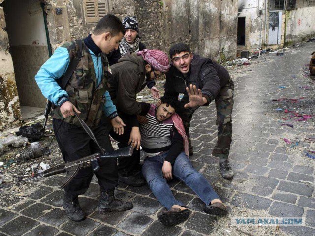 Есть ли жизнь в Алеппо?